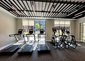 Thumbnail 62 of 66 - The Rail at Bound Brook’s resident gym featuring modern fitness equipment and wellness-focused amenities for a convenient and active apartment lifestyle.