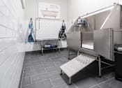 Thumbnail 45 of 102 - A clean, empty public bathroom with a trash can and a sink.