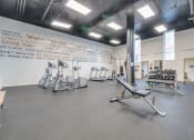 Thumbnail 10 of 25 - HW1 gym
