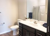 Thumbnail 23 of 23 - Warm Tone Bathroom, new, modern, Senior Apartment, Senior living, Maplewood, White Bear Lake, Saint Paul, Frost English Silver