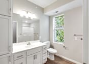 Thumbnail 18 of 23 - Cool Tone Bathroom, new, lux, bright Senior Apartment, Senior living, Maplewood, White Bear Lake, Saint Paul, Frost English Silver