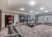 Thumbnail 12 of 23 - Fitness Center, Senior Apartment, Senior living, Maplewood, White Bear Lake, Saint Paul, Frost English Silver