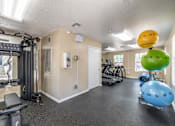 Thumbnail 28 of 35 - A gym with a variety of equipment including a treadmill, weights, and exercise balls.