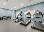 Thumbnail 41 of 44 - A spacious room with treadmills and other exercise equipment. at Park Lamont Townhomes Apartments, Cleveland, OH