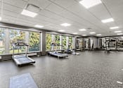 Thumbnail 33 of 61 - A spacious gym with treadmills, exercise bikes, and other equipment.