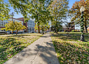 Thumbnail 60 of 61 - A tree-lined sidewalk in front of a building.