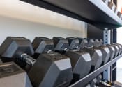 Thumbnail 52 of 56 - Free Weights at Heritage Apartments, Columbus