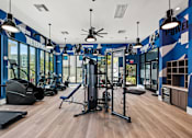 Thumbnail 22 of 46 - A Gym with Equipment at The Palmeri Residences, Florida, 34104