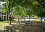 Thumbnail 18 of 23 - Picnic area at Sedona Springs, Austin, Texas