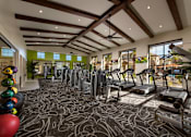 Thumbnail 6 of 17 - a gym with cardio equipment and weights on the floor