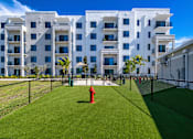 Thumbnail 41 of 46 - Dog Park at The Palmeri Residences, Naples, FL, 34104