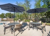 Thumbnail 14 of 18 - Poolside Seating | Cypress Gardens at Cypress Gardens, Cedar Park, TX, 78613