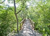 Thumbnail 14 of 23 - Walking trail | Biking Trail at Museo, Austin, TX