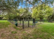 Thumbnail 21 of 30 - Dog Park at Cypress Shores, Coconut Creek, Florida