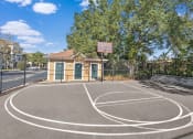 Thumbnail 25 of 31 - a basketball court in front of a brick building with a tree at Grandeville on Saxon, Orange City, Florida