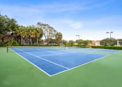 Thumbnail 15 of 21 - two tennis courts on a blue and green court with palm trees at Gateway Club, Boynton Beach, FL
