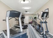Thumbnail 13 of 14 - a fitness gym with cardio equipment