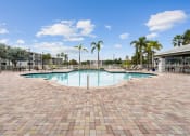Thumbnail 13 of 31 - a swimming pool at a resort with palm trees at Promenade at Reflection Lakes, Florida