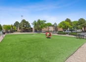 Thumbnail 26 of 33 - a dog park with a green lawn and a tunnel in the middle