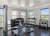 Thumbnail 10 of 23 - A gym with a variety of equipment including a treadmill, weights, and a bench.