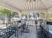 Thumbnail 20 of 21 - Outdoor Grill & Picnic Area at Madison at the Arboretum, Texas