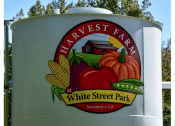 Thumbnail 28 of 28 - White Street Park silo at The Maven, Suwanee