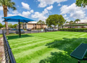 Thumbnail 29 of 31 - Dog Park at Promenade at Reflection Lakes, Fort Myers