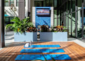Thumbnail 20 of 35 - Pool deck  | District at Rosemary at The District at Rosemary, Sarasota