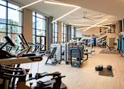 Thumbnail 25 of 39 - A gym with a variety of equipment including treadmills, stationary bikes, and weight machines.