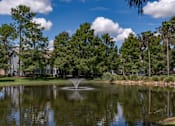 Thumbnail 21 of 43 - Picturesque water feature at Saddleworth Green, Florida, 34474