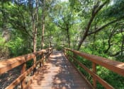 Thumbnail 16 of 23 - Running trail at Museo, Texas, 78759