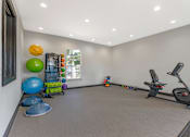 Thumbnail 19 of 29 - A large room with exercise equipment and room for floor excercies