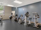 Thumbnail 15 of 35 - A gym with a row of exercise bikes.
