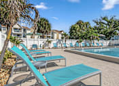 Thumbnail 16 of 30 - A pool area with sun loungers and a palm tree.