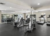 Thumbnail 12 of 30 - A gym with a variety of equipment including treadmills, weights, and exercise machines.
