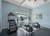 Thumbnail 21 of 32 - A home gym with a treadmill, elliptical trainer and a stair climber.