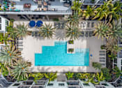 Thumbnail 46 of 49 - A swimming pool surrounded by palm trees.