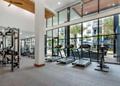 Thumbnail 24 of 49 - A gym with treadmills, elliptical machines, and weightlifting equipment.