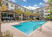 Thumbnail 15 of 49 - A swimming pool surrounded by palm trees and a building in the background.