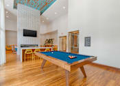Thumbnail 38 of 49 - A pool table in a room with a tv and a plant.