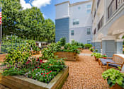 Thumbnail 24 of 49 - A garden with a flag on a pole and a building in the background.