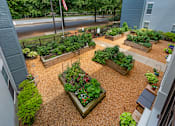 Thumbnail 23 of 49 - A view of a courtyard with a gravel surface and a variety of plants.