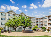 Thumbnail 27 of 34 - A large tree in a courtyard surrounded by apartment buildings.