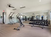 Thumbnail 9 of 33 - A gym with a mirror, treadmills, and weights.