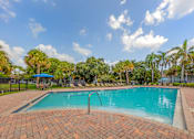 Thumbnail 13 of 33 - A swimming pool surrounded by palm trees and a blue sky.