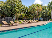 Thumbnail 12 of 33 - A pool surrounded by trees and lounge chairs.