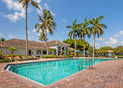 Thumbnail 11 of 33 - A swimming pool surrounded by palm trees and a house.