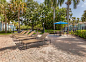 Thumbnail 14 of 33 - A sunny day at the park with a row of lounge chairs and a blue umbrella.