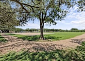 Thumbnail 23 of 38 - A tree stands in the middle of a grassy field with a dirt path leading to it.