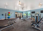 Thumbnail 10 of 29 - A gym with a variety of equipment including weights and exercise machines.